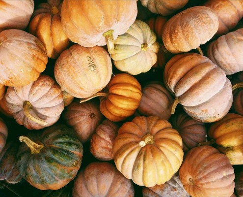 anfossi-dieta-autunnale-zucca